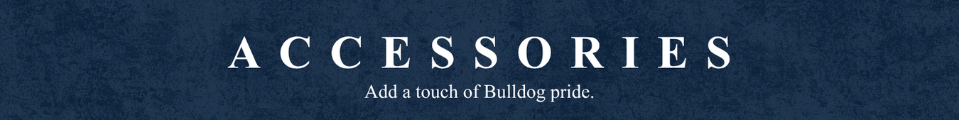 Accessories (Sub Category)