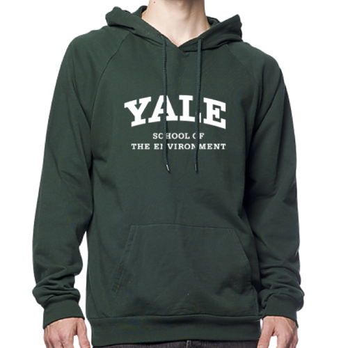 Graduate & Professional Schools Hoodie - School of the Environment