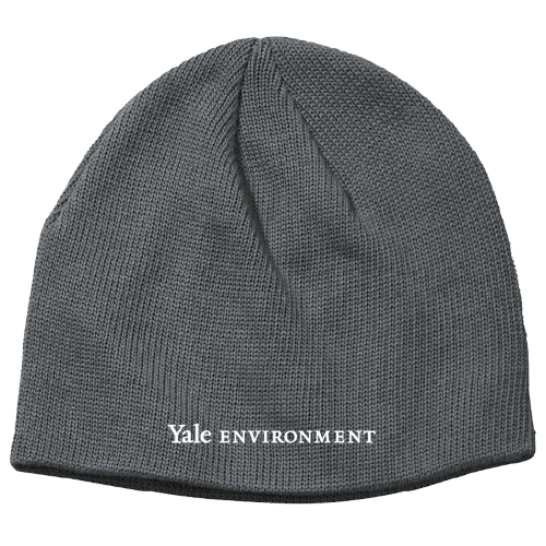 Graduate & Professional Schools Eco Beanie - School of the Environment