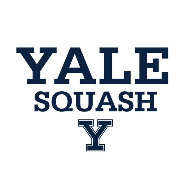 yale sports decal squash