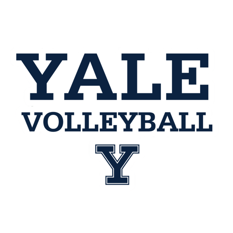 yale sports decal volleyball