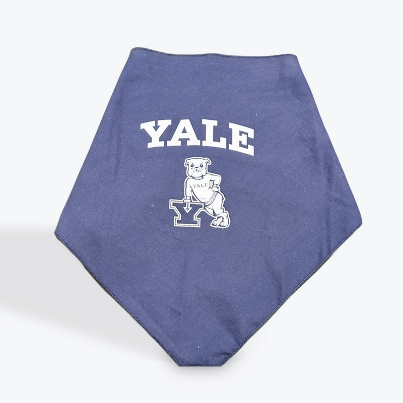 Leaning Bulldog Dog Bandana