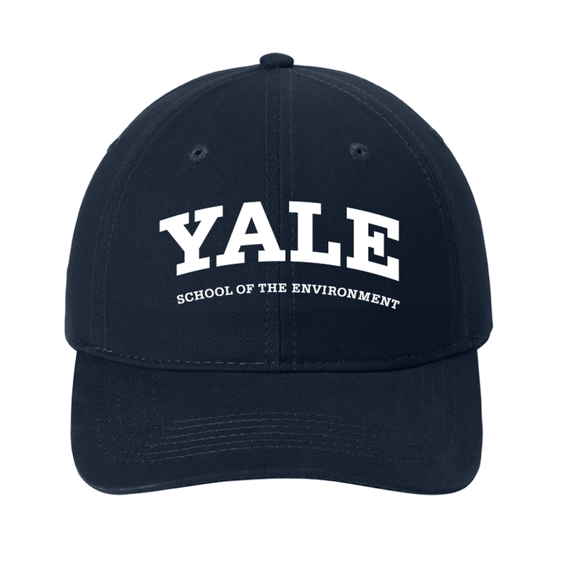 Graduate & Professional Schools Hat - School of the Environment