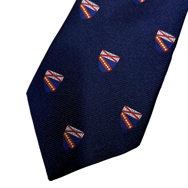 Graduate & Professional Schools Tie - School of Public Health