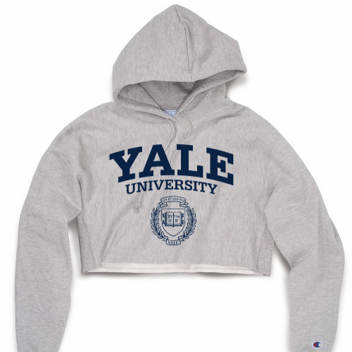 Womens Champion Cropped Reverse Weave Hoodie