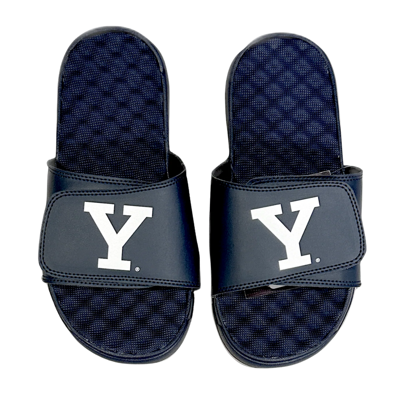 Y Slides