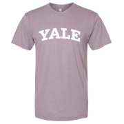 Yale Bulldog Blue Big Yale Tri-Blend T-Shirt Storm