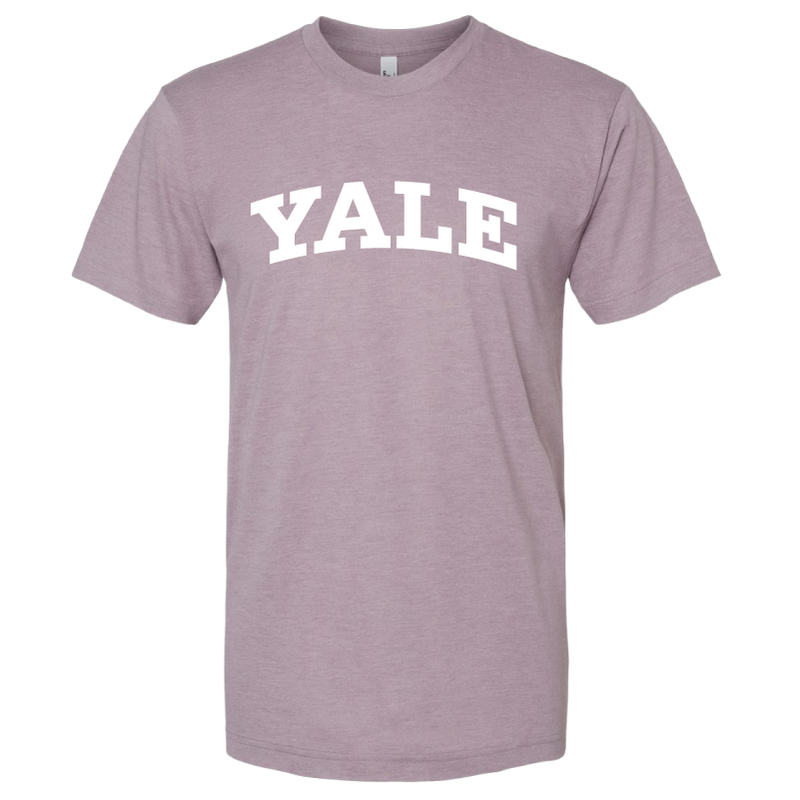 Yale Bulldog Blue Big Yale Tri-Blend T-Shirt Storm